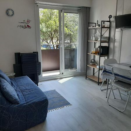 Studio Cosy Proche Ocean Et Commerces, Parfait Pour Des Vacances A Deux! - Fr-1-239-437 塞尼奥斯 外观 照片