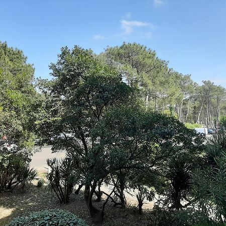 Studio Cosy Proche Ocean Et Commerces, Parfait Pour Des Vacances A Deux! - Fr-1-239-437 塞尼奥斯 外观 照片